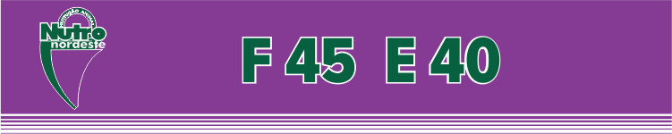 e40.png