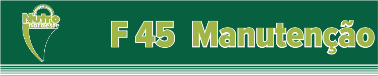 manutencao.png